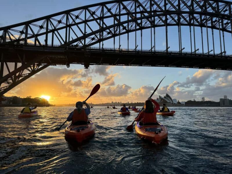 Sydney: Sunrise Kayak, Opera House & Under Harbour Bridge - Who Would Love This Experience?