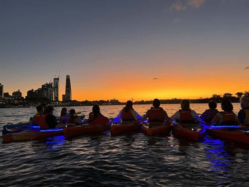 Sydney: Sunset Kayak Tour on Sydney Harbour - The Experience Itself