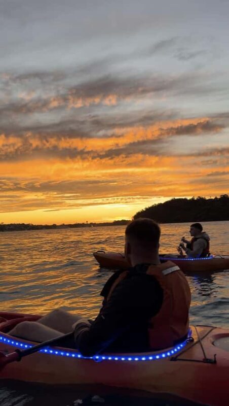 Sydney: Sunset Kayak Tour on Sydney Harbour - Who Is This Tour Best For?