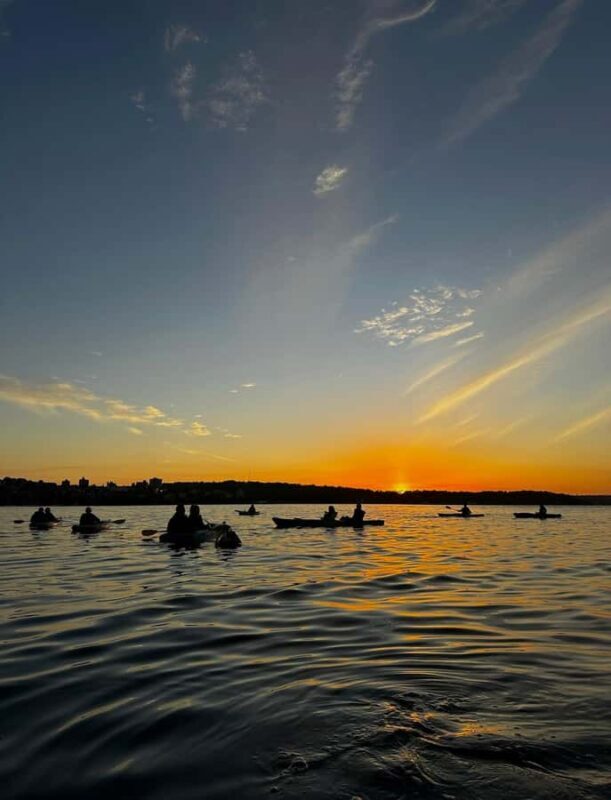 Sydney: Sunset Kayak Tour with Opera House Views - Why You’ll Love the Sunset Kayak Tour