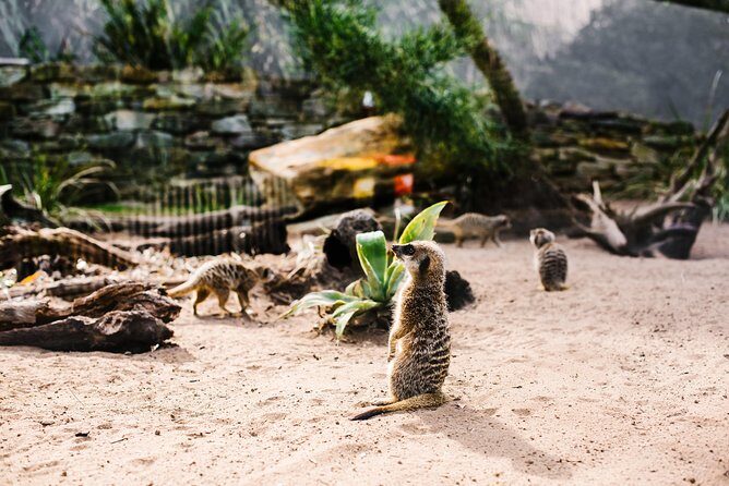 Sydney Taronga Zoo Wild Australia Experience - Who would love this experience?