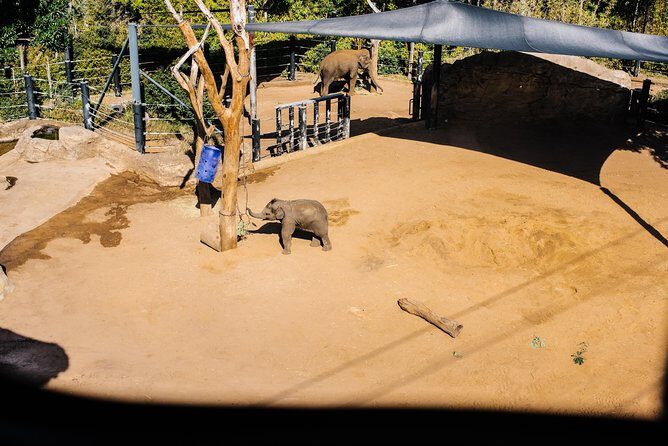 Sydney Taronga Zoo Wild Australia Experience - The bottom line