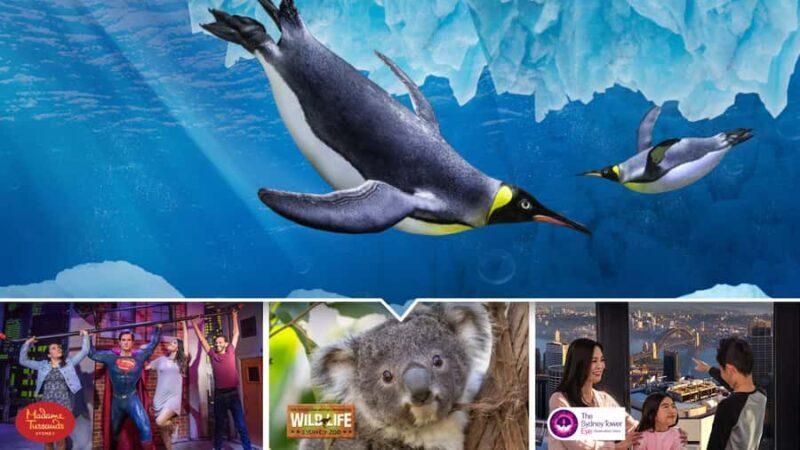 Sydney: Ultimate City Pass for 4 Attractions with Skywalk - Who Is This Pass Best For?