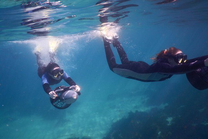 sydney underwater scooter tours - Key Points