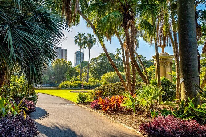 Sydney Walking Tour with Audioguide on Your Smartphone - Who Is This Tour Best For?