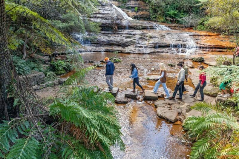 Sydney: Waterfall Bushwalk and Blue Mountain Sunset Day Trip - A thorough look at what this Blue Mountains tour offers