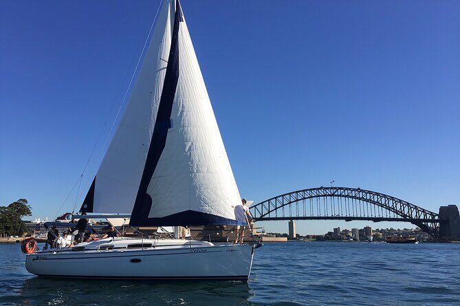 Sydney Whale Watching Cruise from Circular Quay - Who Is This Tour Best For?