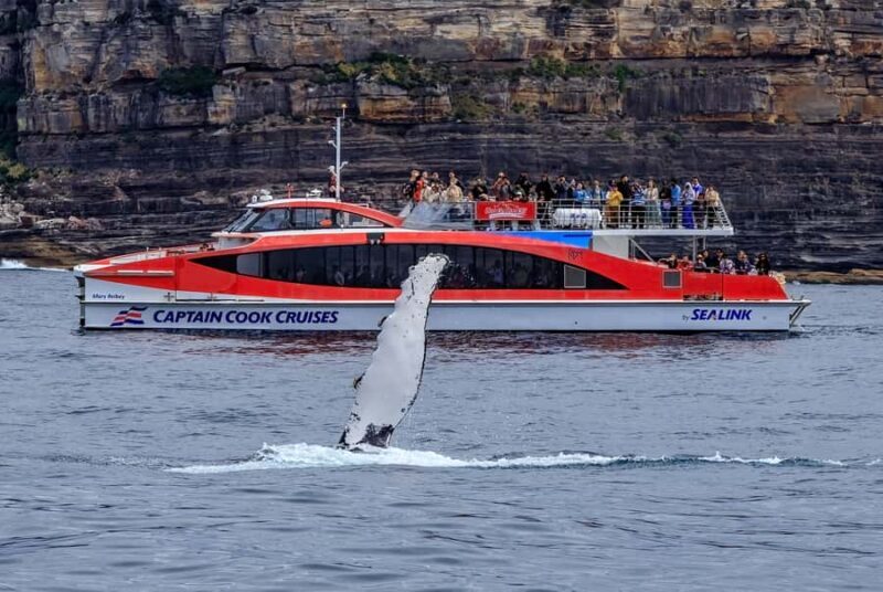Sydney: Whale Watching & Wildlife Cruise - FAQs