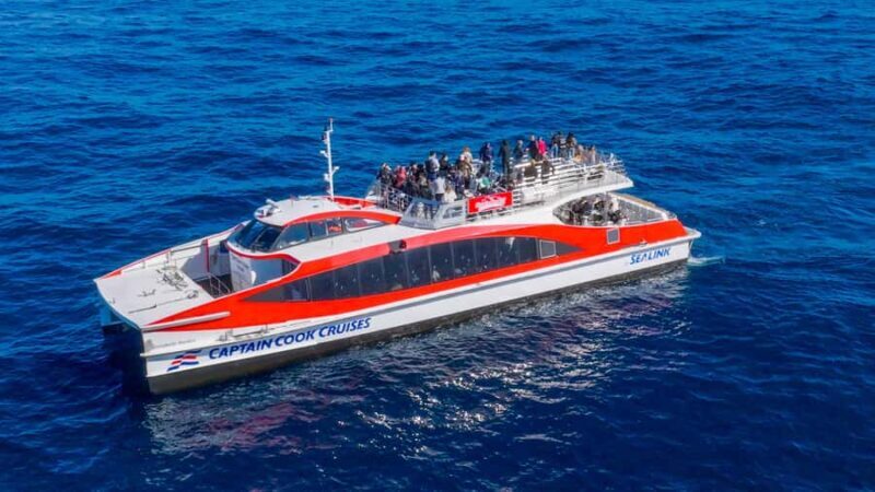 Sydney: Whale Watching & Wildlife Cruise - Final Thoughts