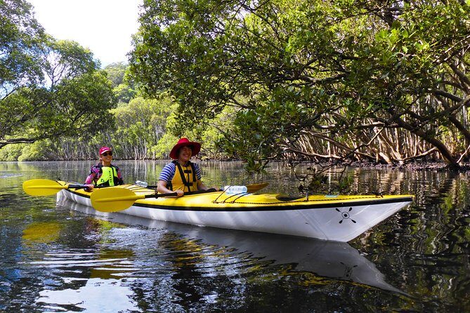 Sydney's Middle Harbour Sea Kayaking Eco Tour (Fully Guided) - Who Should Consider This Tour?