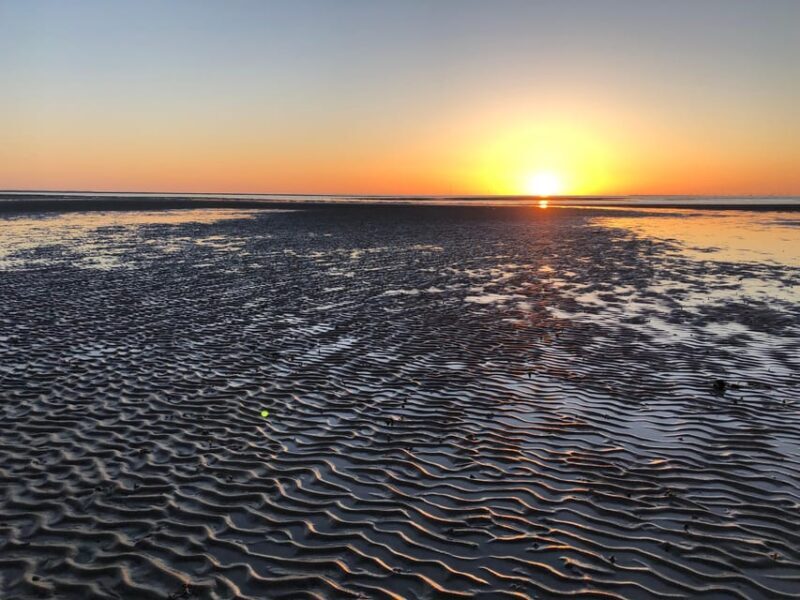 Sylt: Guided Mudflat Hike on the Island - Why You’ll Love the Guided Mudflat Hike on Sylt
