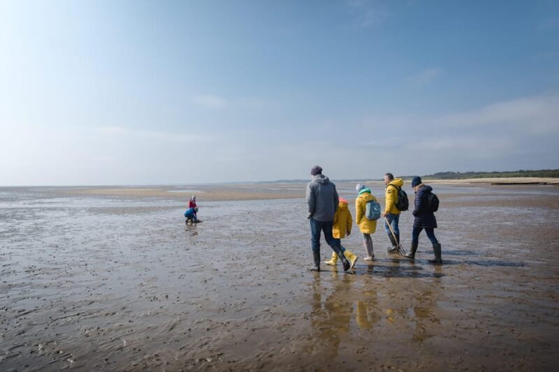 Sylt: Guided Mudflat Hike on the Island - How the Experience Unfolds