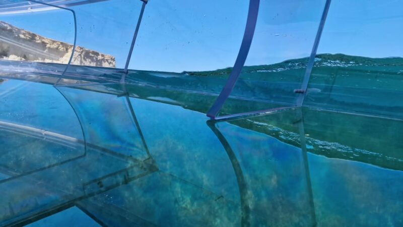 Syracuse: Coast and Sea Caves Full Transparent Boat Tour - The Experience’s Pros and Cons