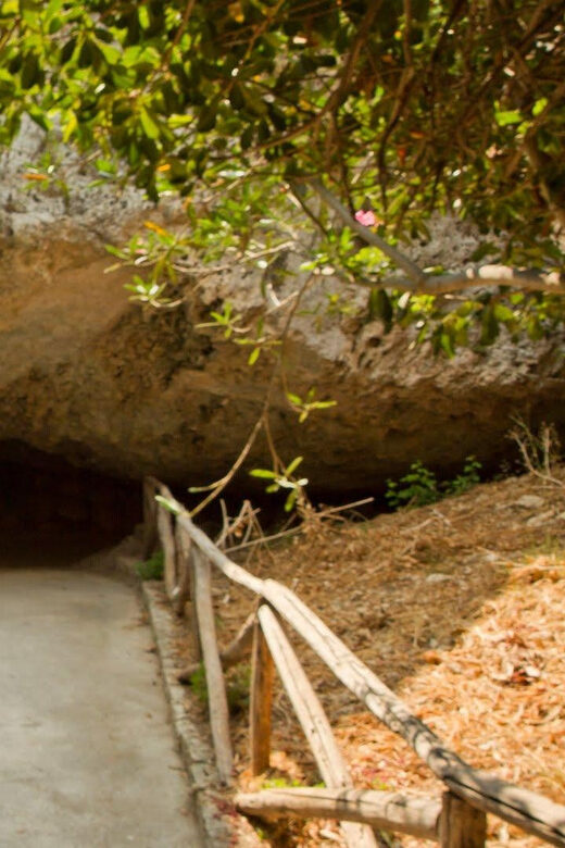 Syracuse: Greek Theater and Neapolis sunset tour - Final Thoughts