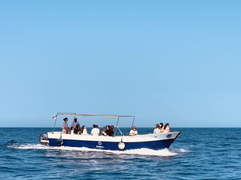 Syracuse: Pillirina, Ortigia, and Sea Caves Tour by Boat - Detailed Breakdown of the Itinerary