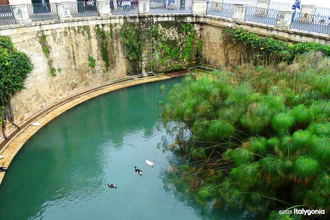 SYRACUSE private tour: discover the charm of Ortigia! - Final Thoughts: Is This Tour Right for You?