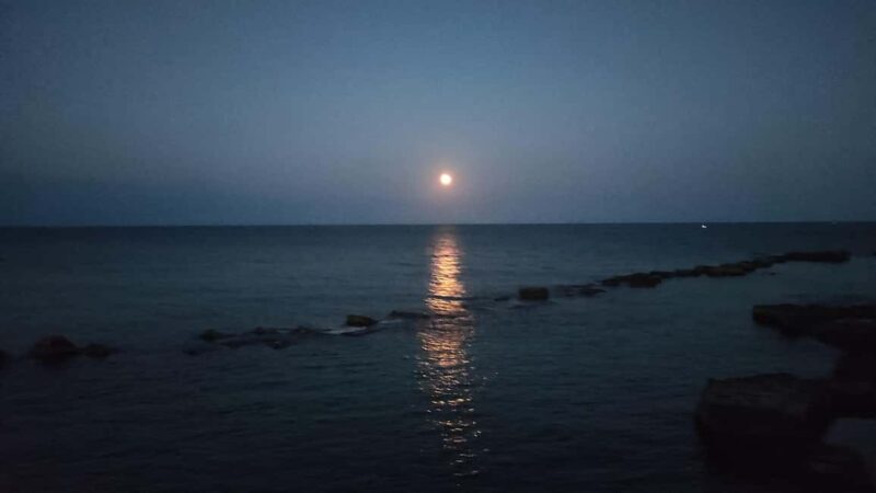 Syracuse: your first dive - FAQs