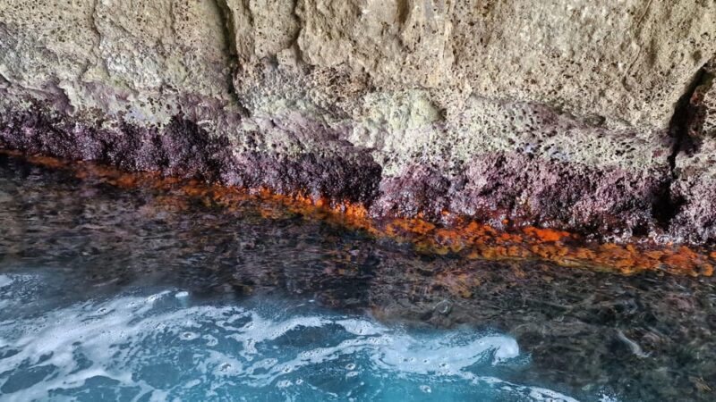 Syracuse:Snorkeling+Pillirina, Ortigia & sea caves boat tour - FAQ