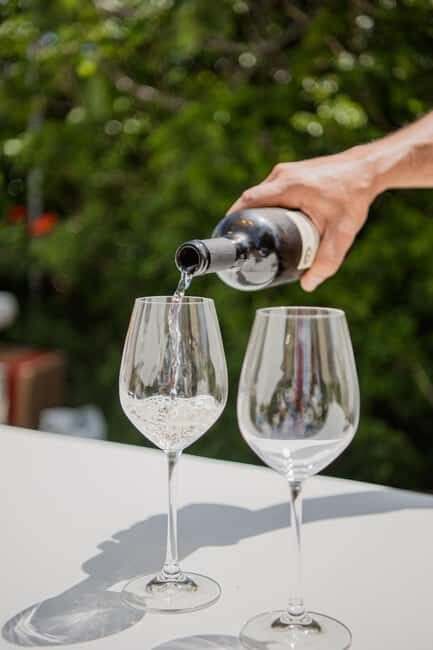 Syros: Countryside Hike with Wine Tasting in a Vineyard - What to Expect at the Winery