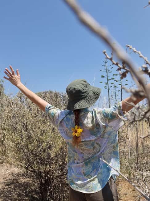 Syros: Countryside Hike with Wine Tasting in a Vineyard - Who Is This Tour Best Suited For?