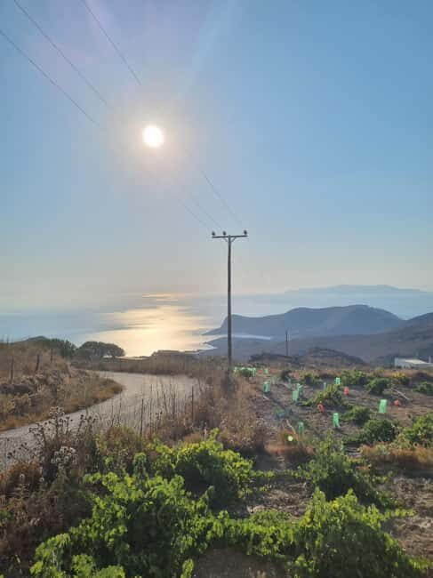Syros: Countryside Hike with Wine Tasting in a Vineyard - FAQ