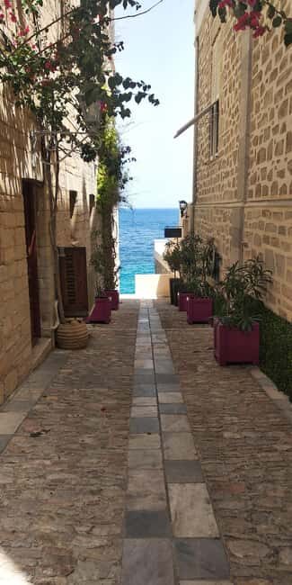 Syros: Food Walking Tour - What to Expect from the Food Walking Tour in Syros