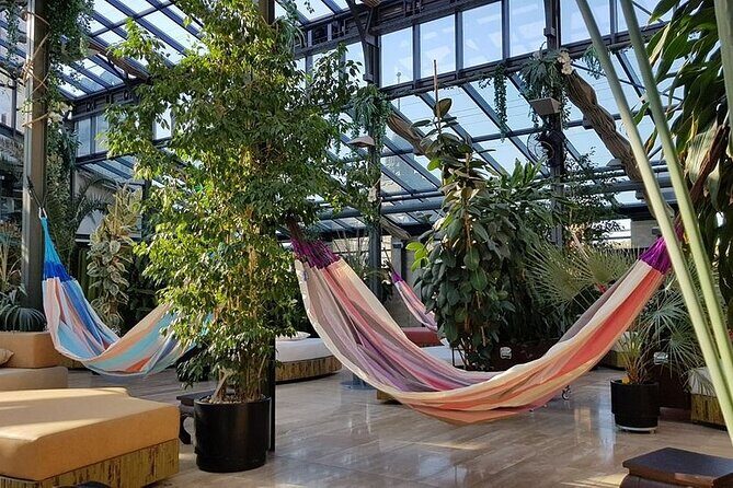 Széchenyi Thermal Spa Palm House Pass - Exclusive Area - The Palm House: A Botanical Retreat