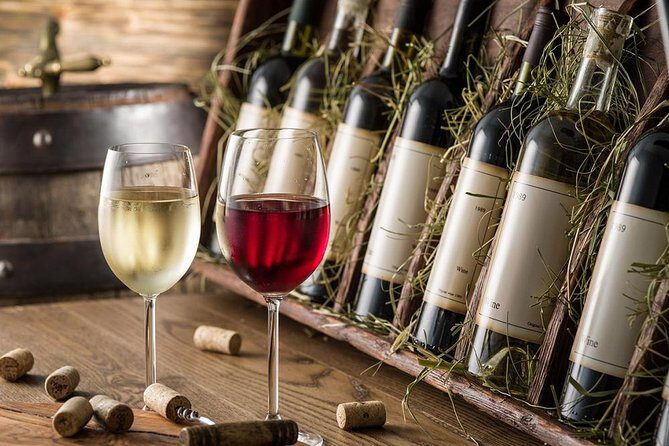 Szentendre and Visegrad Private Danube bend Tour With Wine Tasting and Lunch - What Could Be Improved or Considered