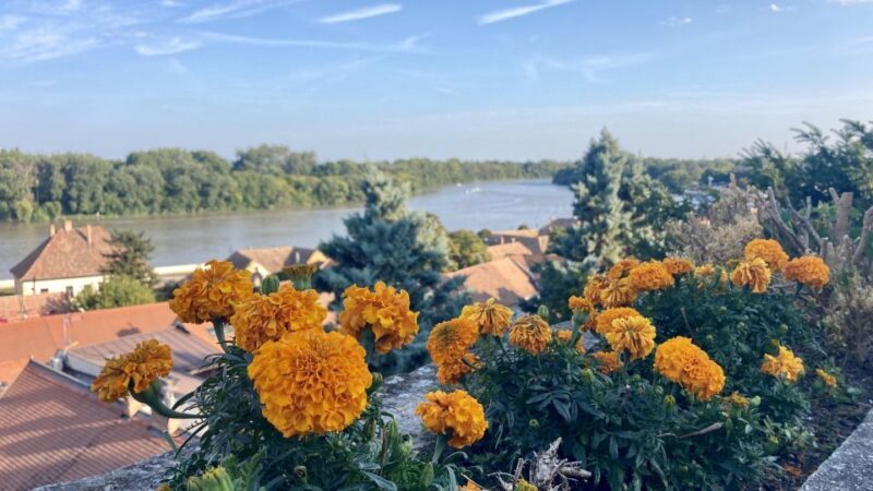 Szentendre: Arts and Cafés Tour (Half-Day Private Tour) - Who Should Consider This Tour?