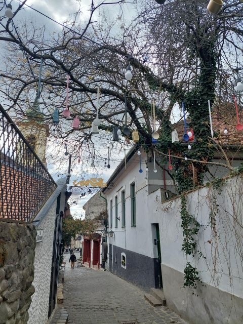 Szentendre: Half-Day Private Tour from Budapest - The Itinerary Breakdown
