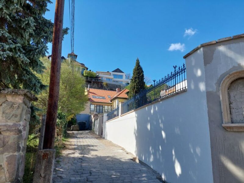 Szentendre: Half-Day Private Tour from Budapest - Practical Tips for Booking and Enjoying the Tour