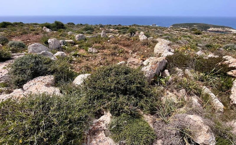 Tabaccara Promontory Tour - The Experience Provider