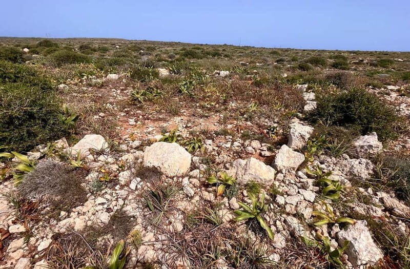 Tabaccara Promontory Tour - Who Should Consider This Tour?