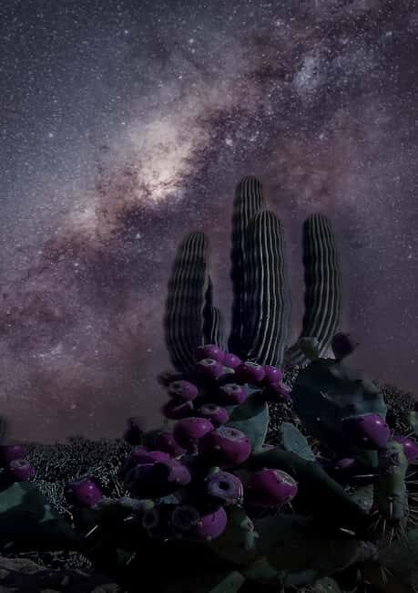 Tabernas Desert: Stargazing with Telescopes - The Experience: What You’ll Do Step-by-Step
