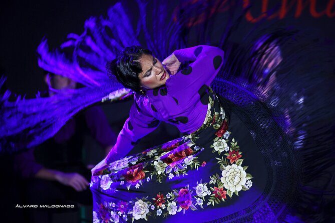 Tablao Flamenco Alma - Live Flamenco Show - What to Expect from the Flamenco Show in Palma