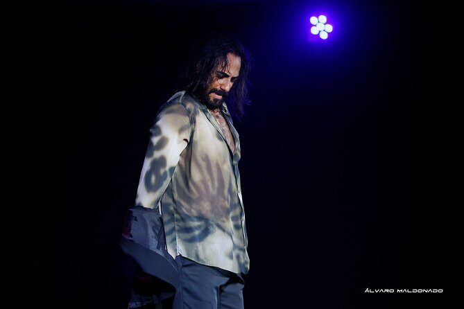 Tablao Flamenco Alma - Live Flamenco Show - Who Should Consider This Tour?