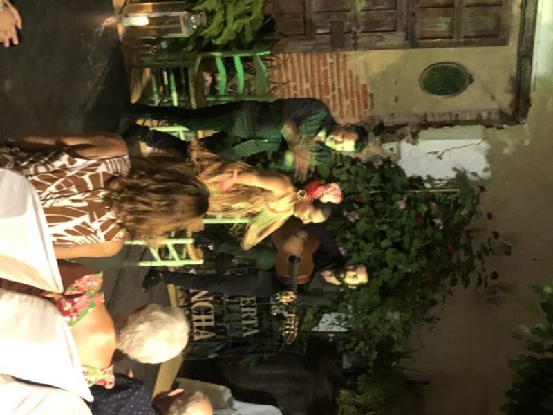 Tablao Flamenco La Puerta Ancha entrance ticket - Who Is This Tour Best For?