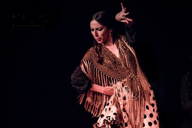 Tablao Flamenco las Tablas Madrid Admission Ticket - Final Thoughts