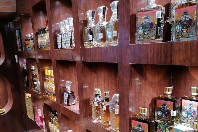 TACO ATTACK - Taco Tour Cancun - Tacos, Tequila, Shopping & More - Authentic Feedback from Guests