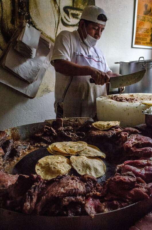 Taco Tasting Tour: Flavors of Mexico City - Who Will Love This Tour?