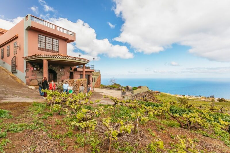 Tacoronte: Guided Winery Tour with Wine and Cheese Tastings - Practical Tips for Visitors