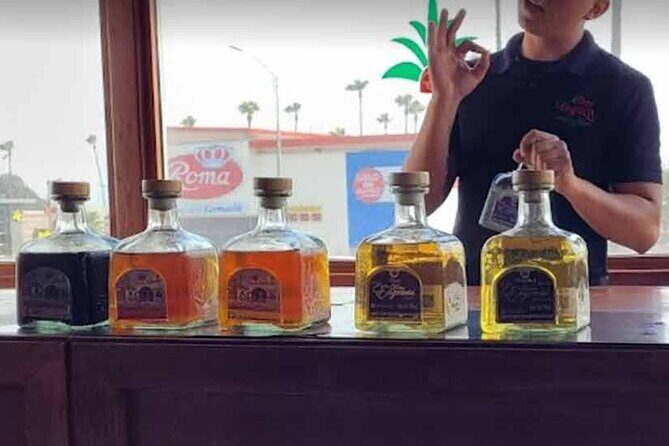Tacos, Tequila, Cerveza - A Private Tour of Ensenada - Price & Value Analysis