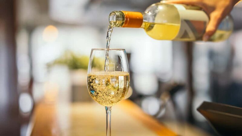 Tadoussac/Charlevoix: VIP Lounge OR UpperDeck Whale Watching - The VIP Lounge: Comfort and Convenience