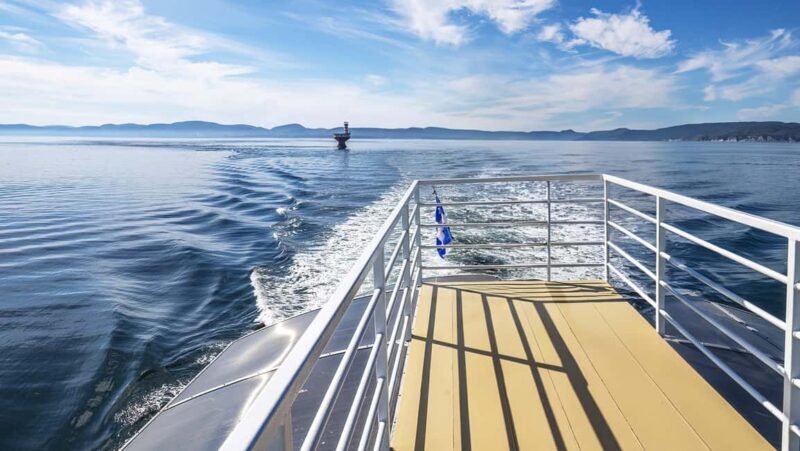 Tadoussac/Charlevoix: VIP Lounge OR UpperDeck Whale Watching - The Scenery and Wildlife in Focus