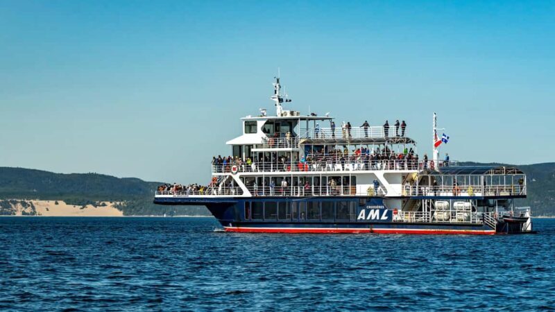 Tadoussac/Charlevoix: VIP Lounge OR UpperDeck Whale Watching - Final Words
