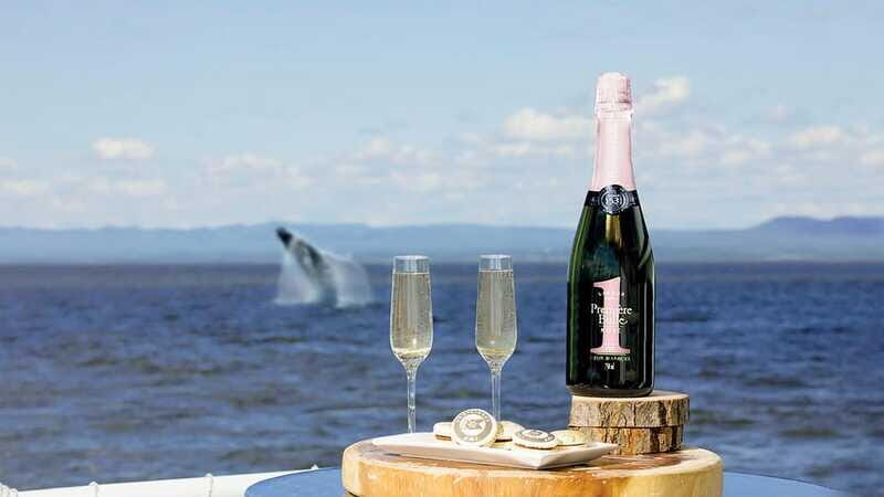 Tadoussac/Charlevoix: VIP Lounge OR UpperDeck Whale Watching - FAQs