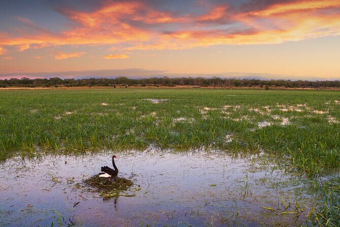 Tae Rak (Lake Condah) 2-Hour Cultural Tour - A Closer Look at the Tour Itinerary