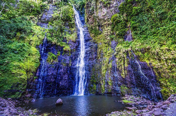 Tahiti 4x4 Mountain Safari  Private Shore Tour 4 Hours - Pricing and Value