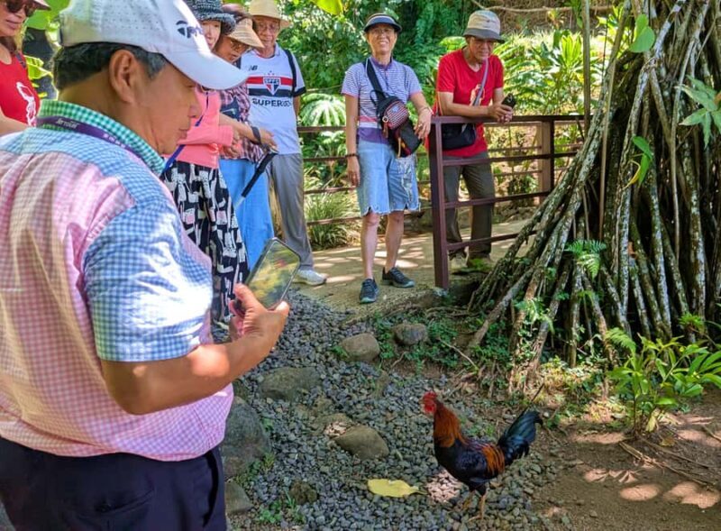 Tahiti Classical Coastal Full Day Private Tour - The Price and Value