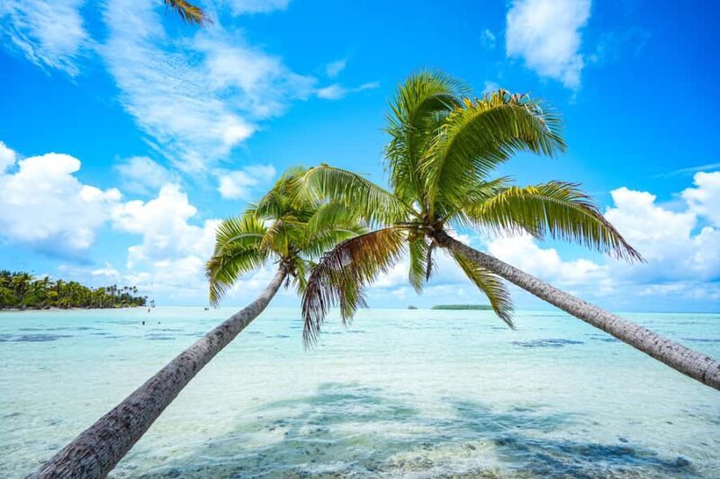 Tahiti Lagoon: 4-hour snorkeling to discover the secrets of the lagoon - Key Points